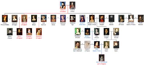 dinastia tudor e enrico viii|house of tudor dynasty.